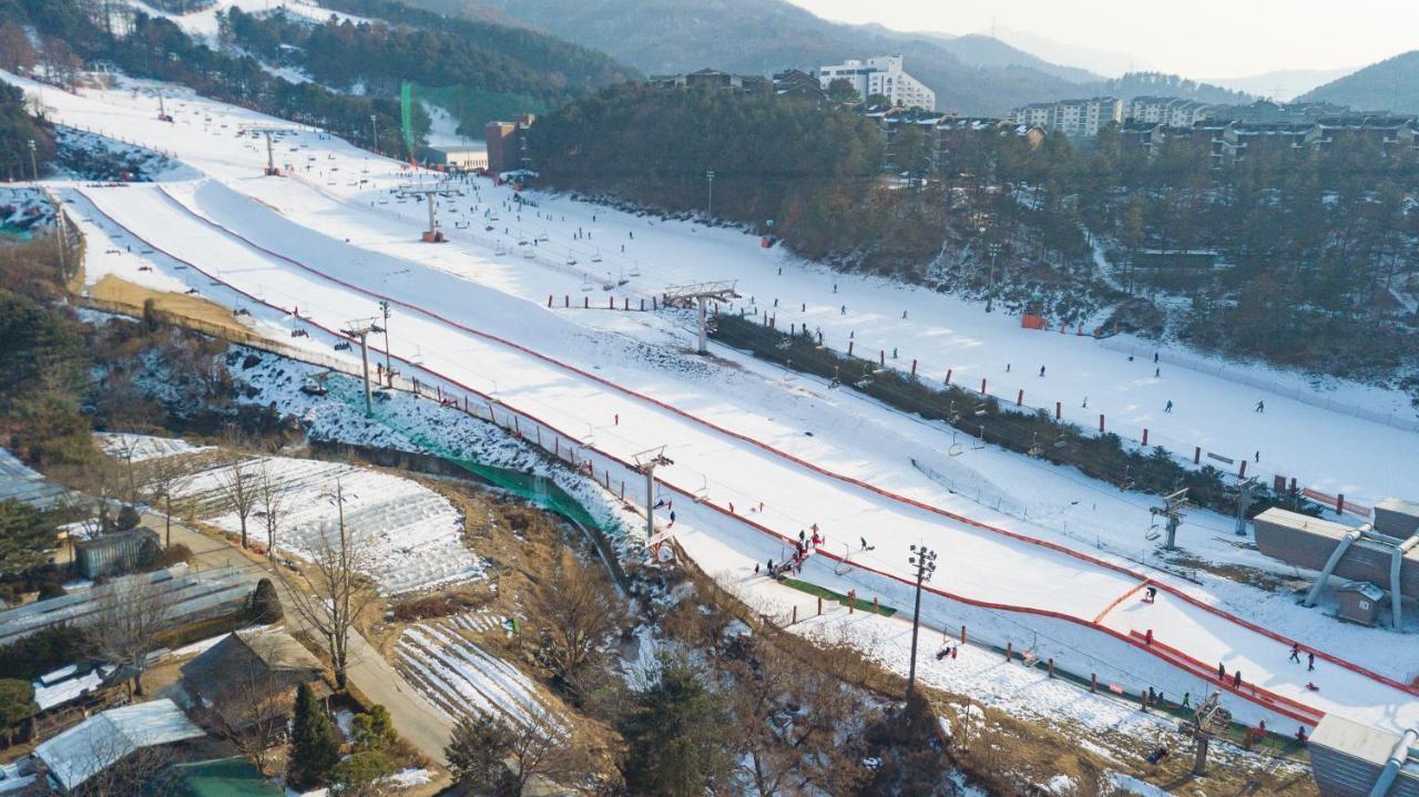 Bears Town Pocheon Exterior foto